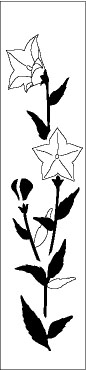mono
