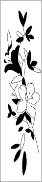 mono